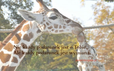 Przyjmij to. Po prostu